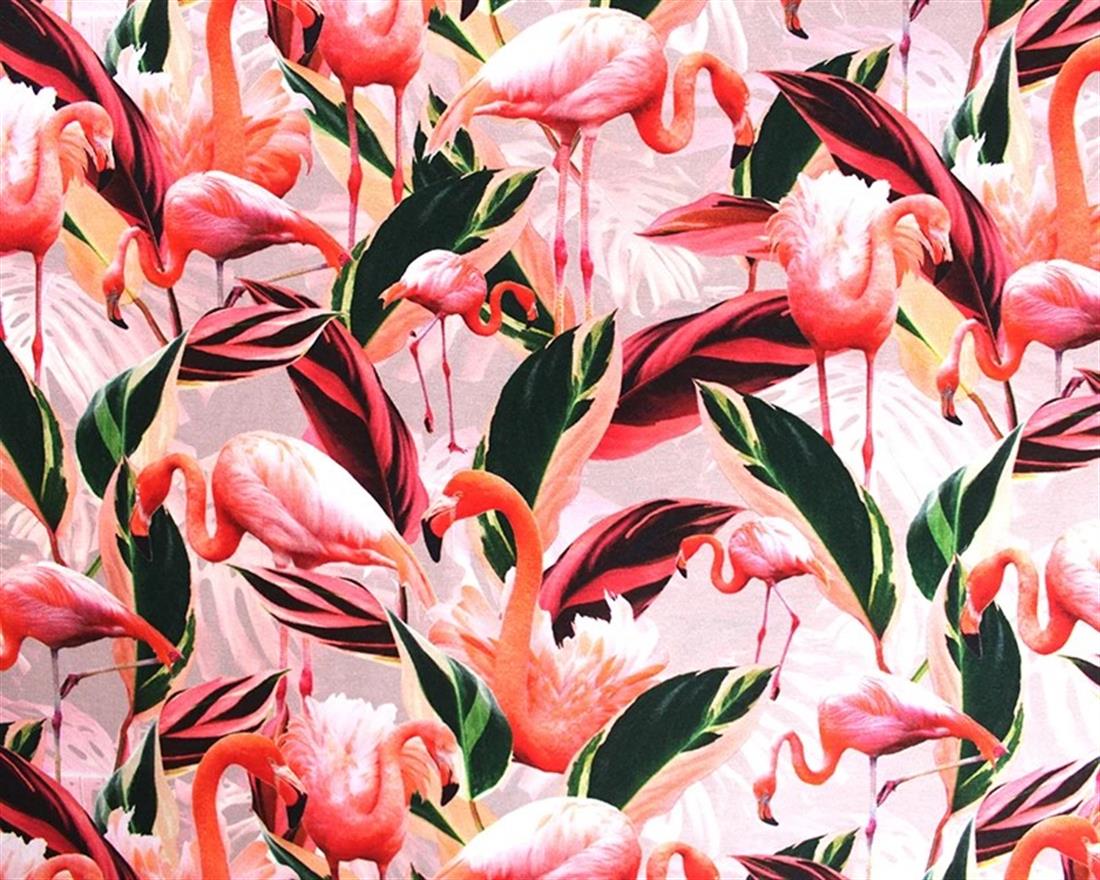 Cotton Jersey Flamingo