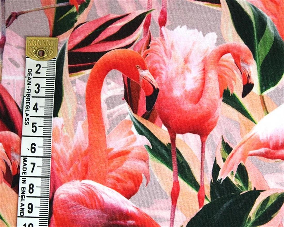 Cotton Jersey Flamingo
