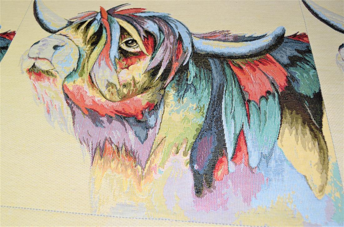 Highland Cow