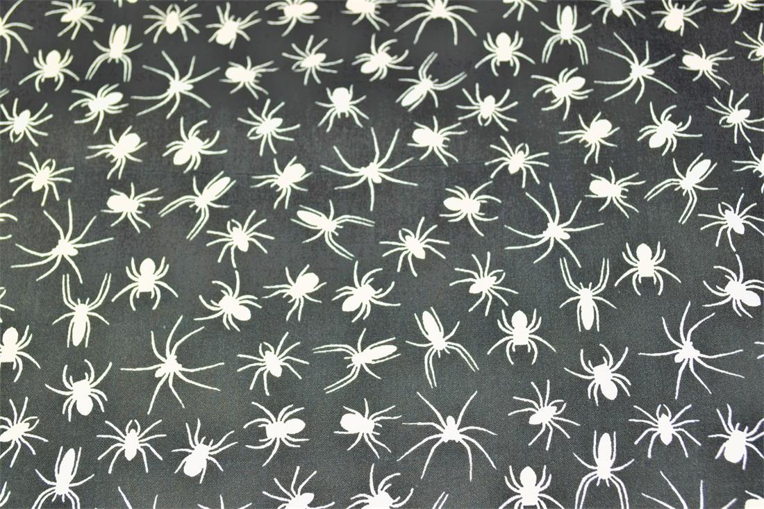 Spiders All Over - image 3