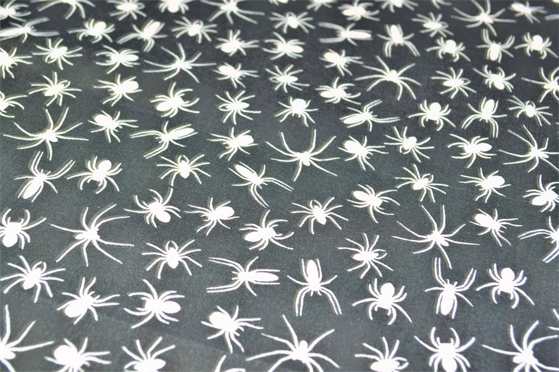 Spiders All Over - image 4