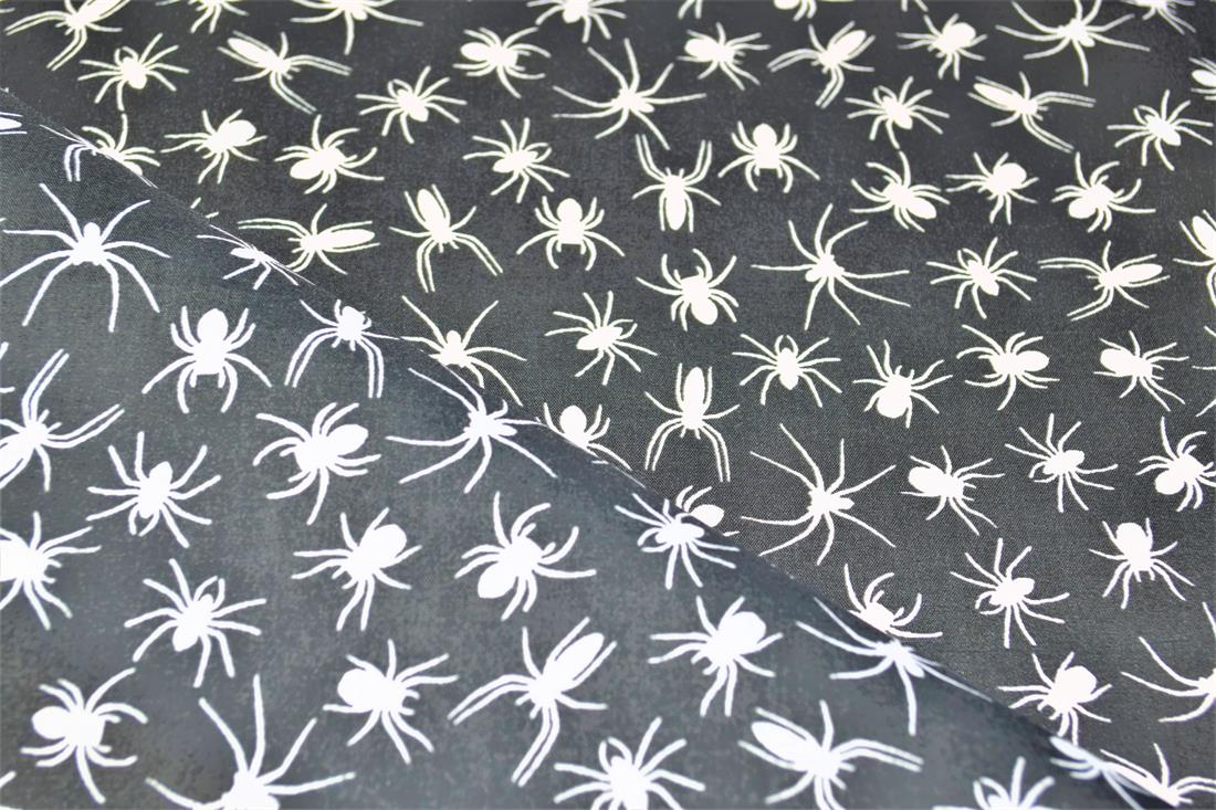 Spiders All Over - image 6
