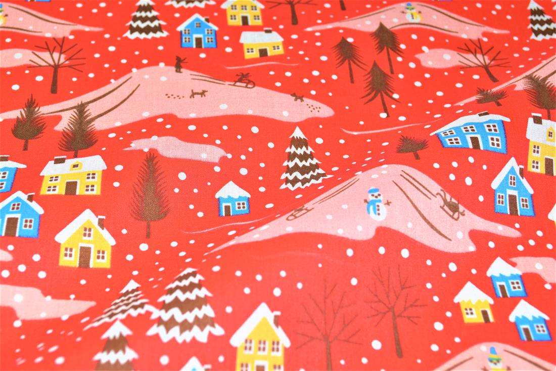 Snowy Homes