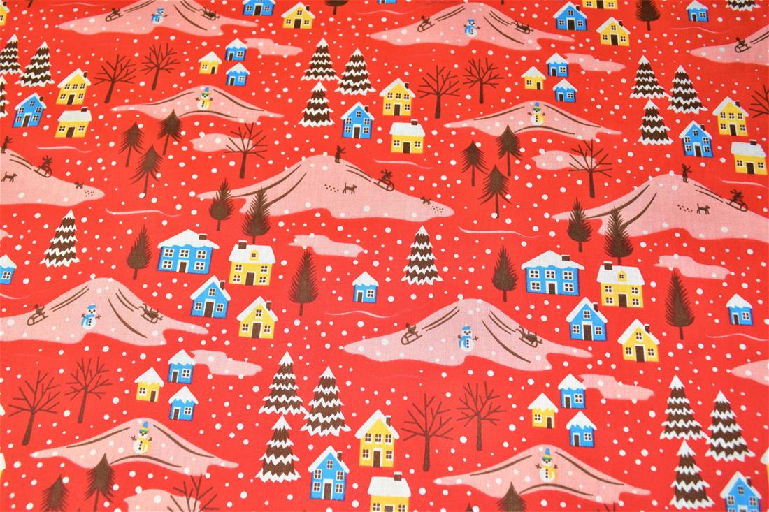 Snowy Homes