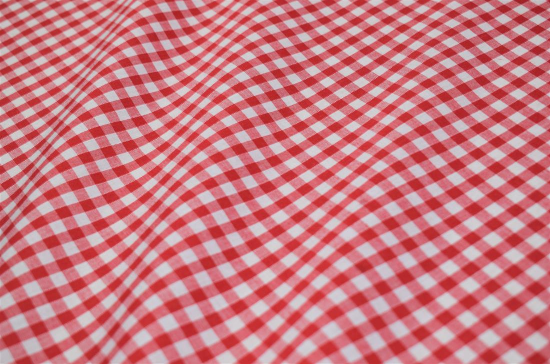 Gingham - image 4