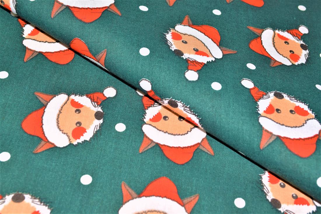 Fox in a Christmas Hat