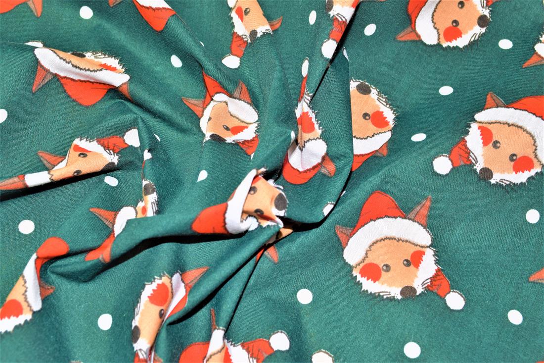 Fox in a Christmas Hat