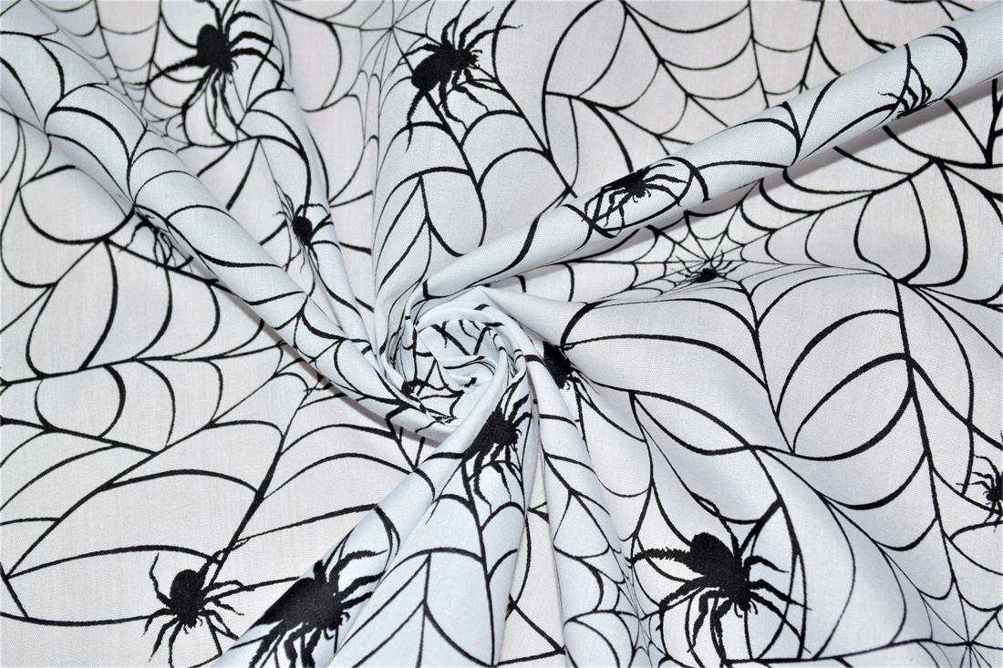  - image 7