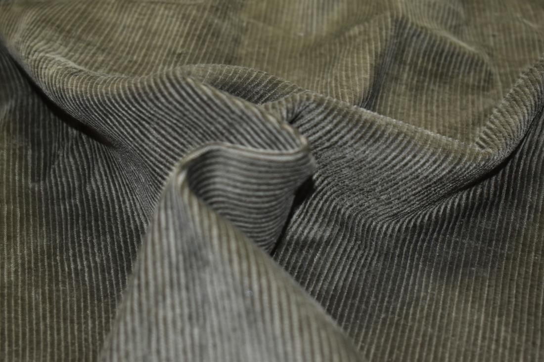 Corduroy