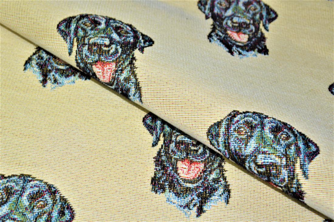 Labrador All Over - image 1