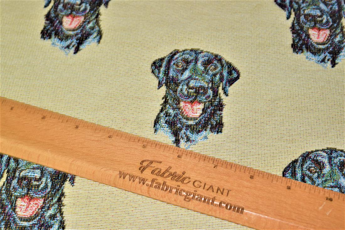 Labrador All Over - image 3