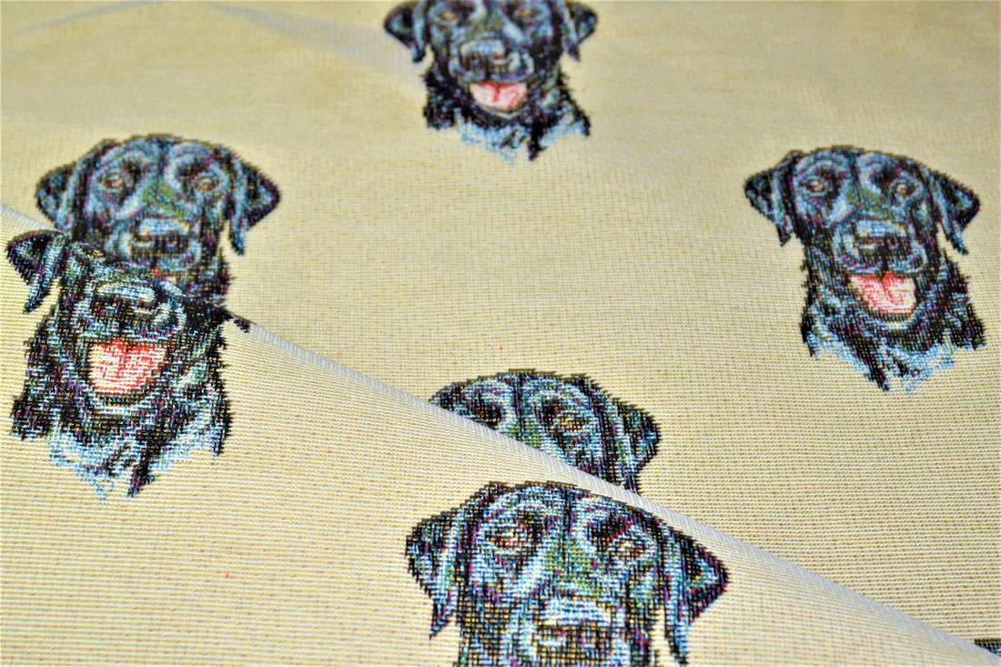 Labrador All Over - image 4