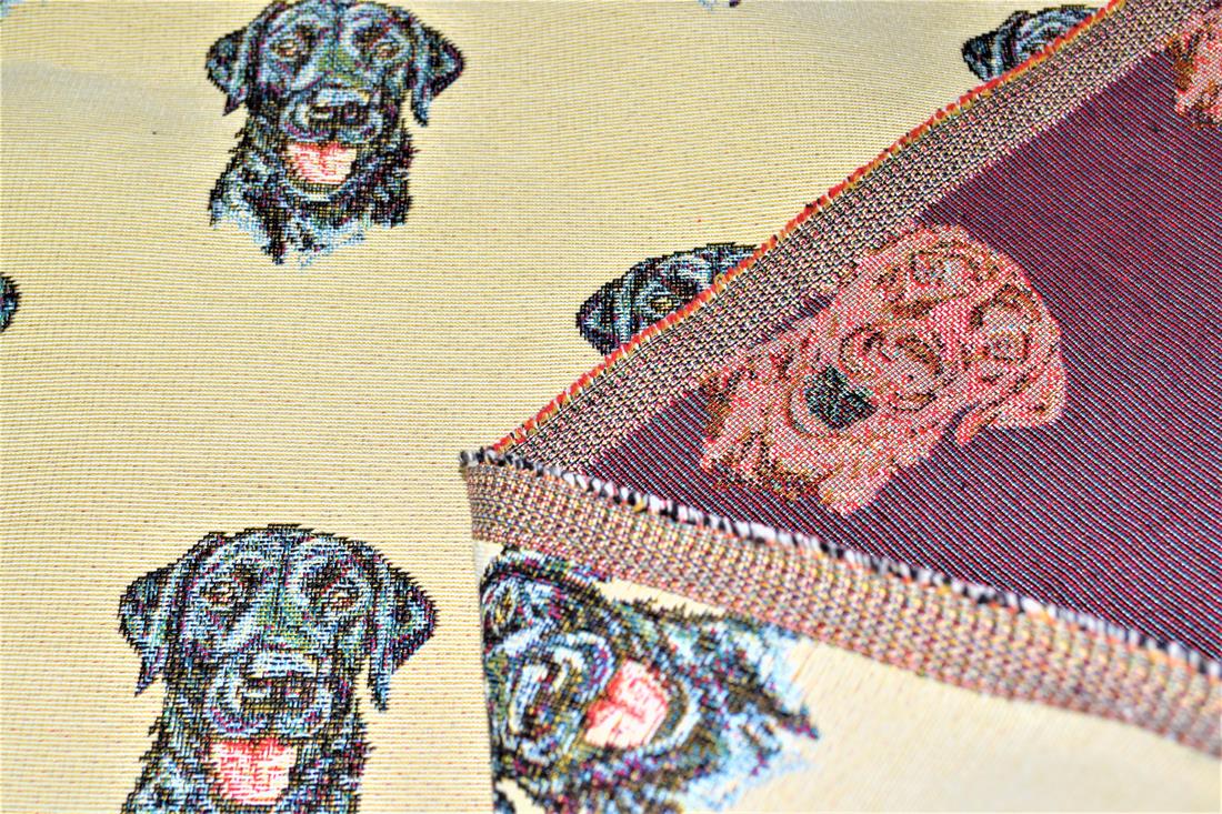 Labrador All Over - image 5