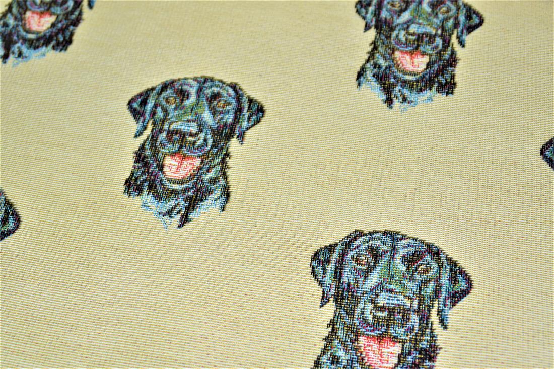Labrador All Over - image 7