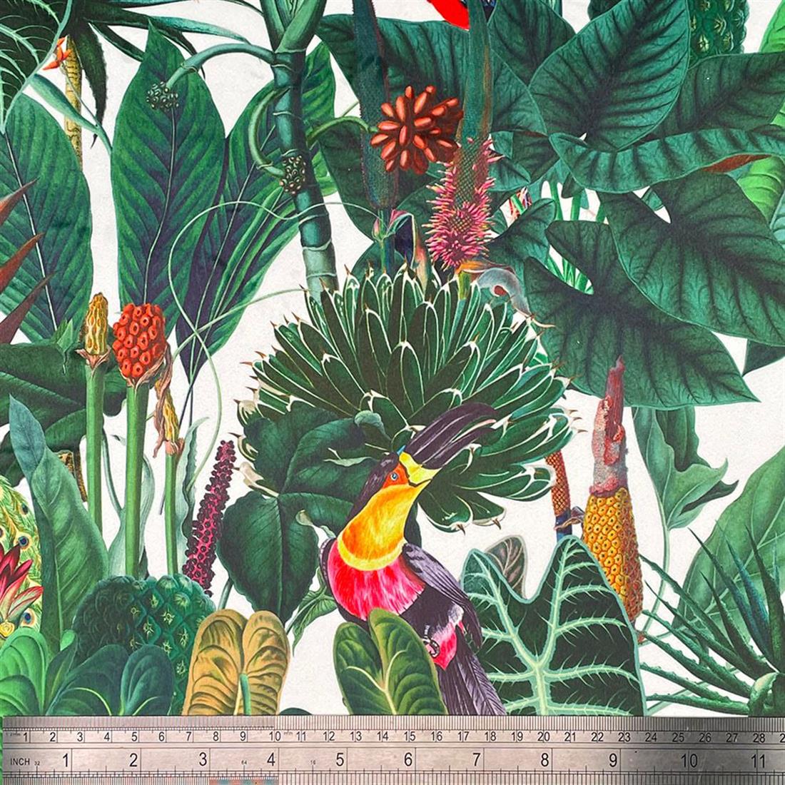 Rainforest - image 2