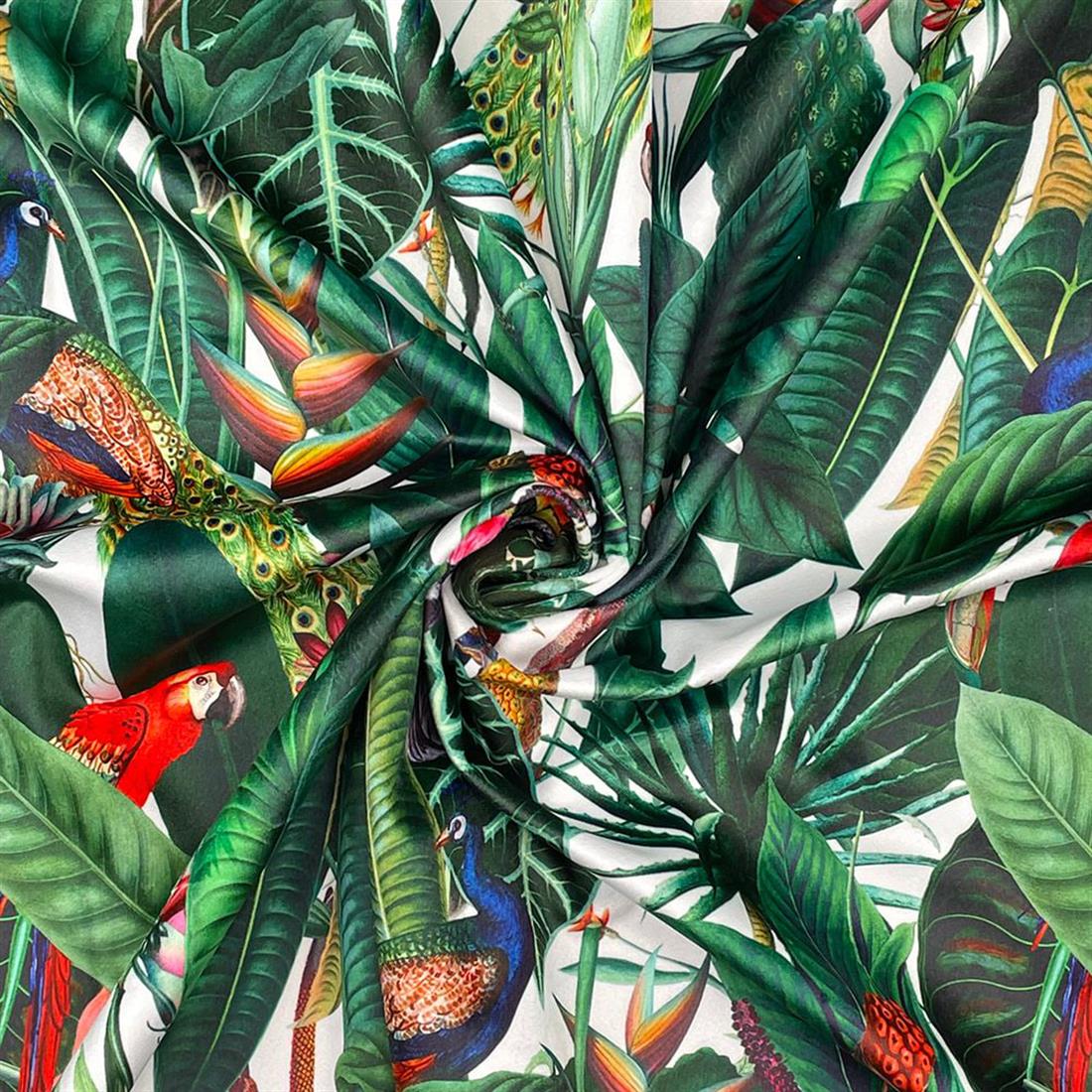 Rainforest - image 3