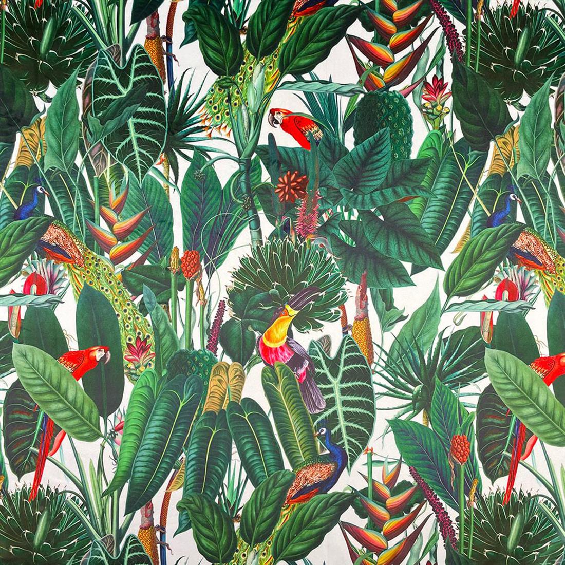 Rainforest - image 1