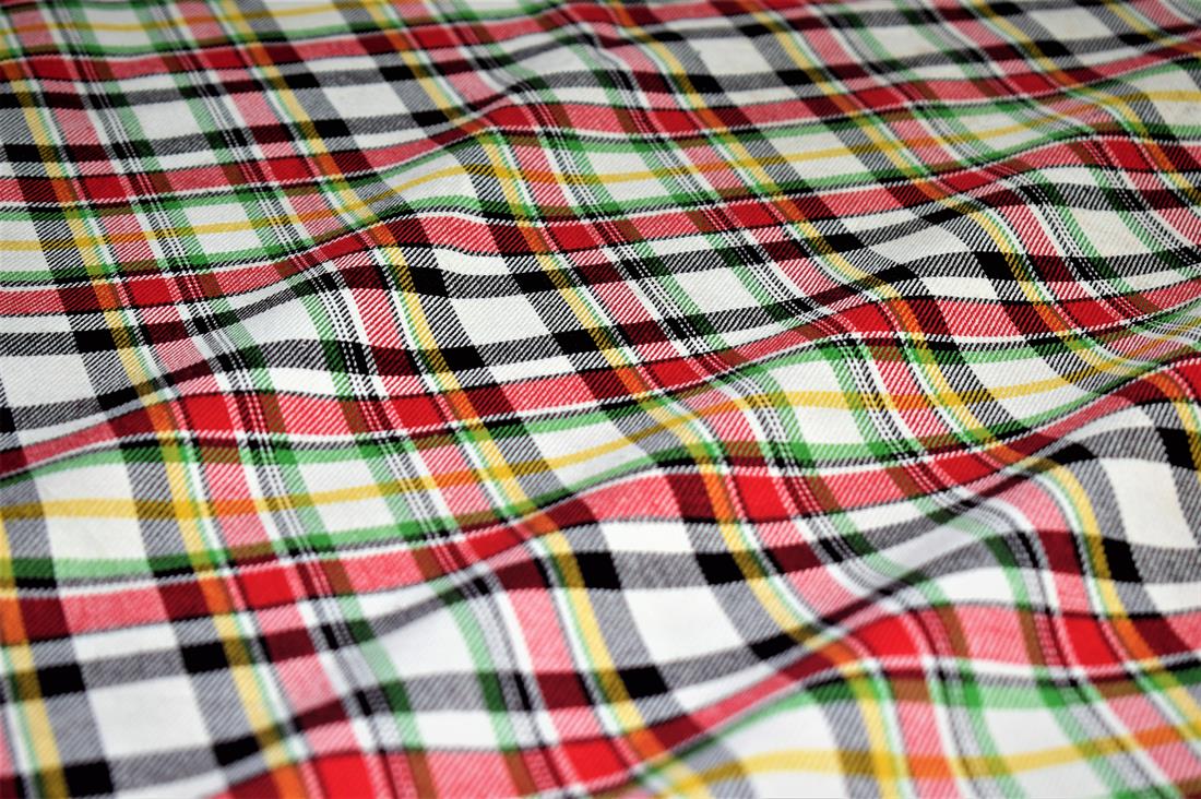 Tartan Check Print